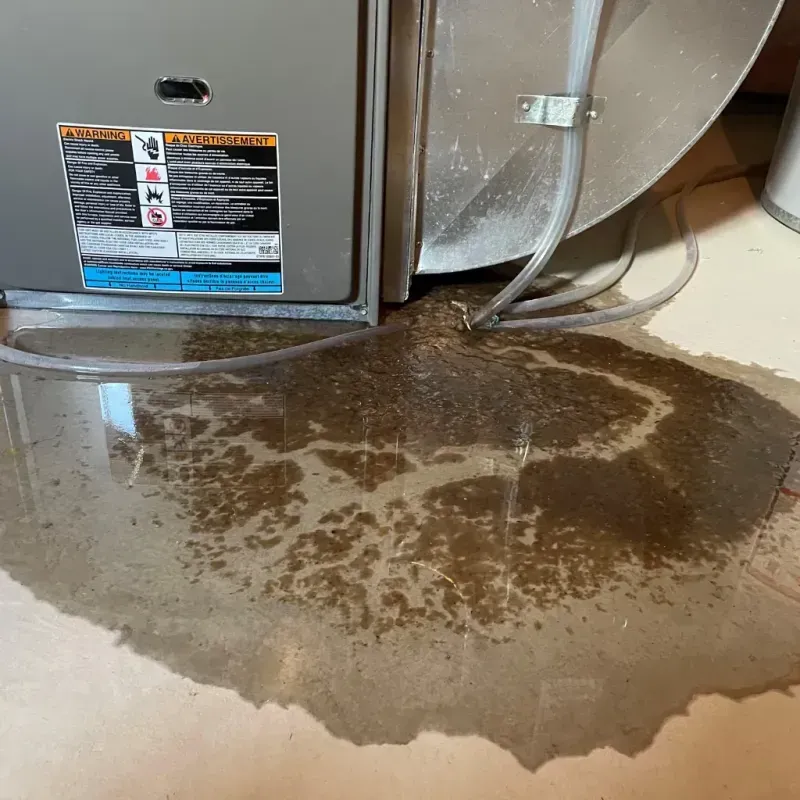 Appliance Leak Cleanup in Springdale, AR